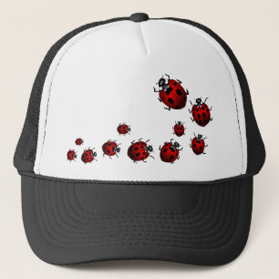 Ladybug Art Petten Petten Ladybug Wildlife Art Pet