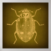 Ladybug Art Retro Gold en groene stijl Poster (Voorkant)