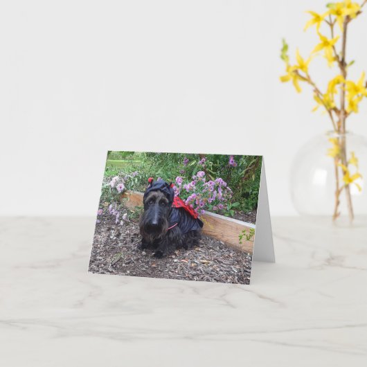 Ladybug Baby Kaart (Gele Bloem)