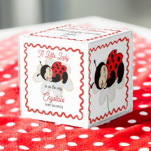 Ladybug-baby shower geeft de voorkeur aan geperson