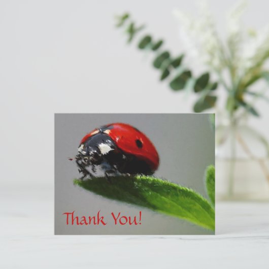 LadyBug bedankt! Briefkaart (Staand voorkant)