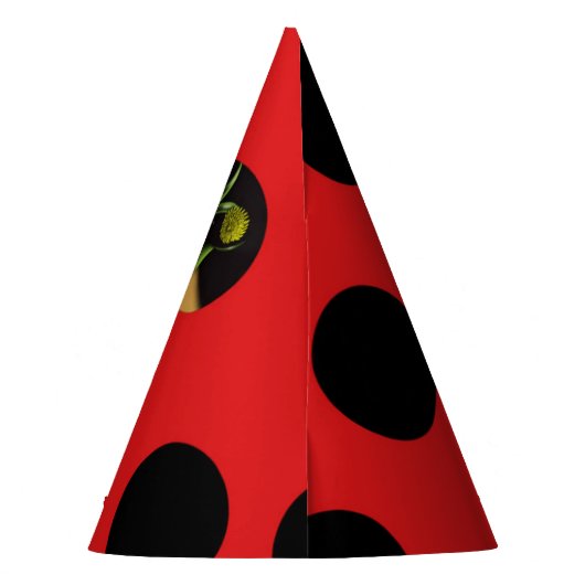 Ladybug Birthday Feesthoedjes (Achterkant)