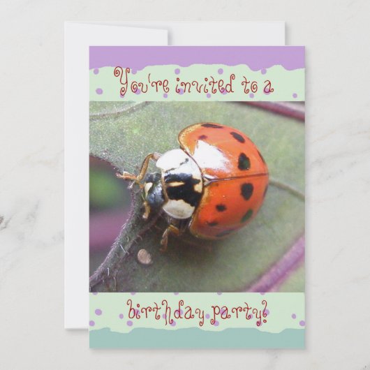 Ladybug Birthday Invitation Kaart (Voorkant)