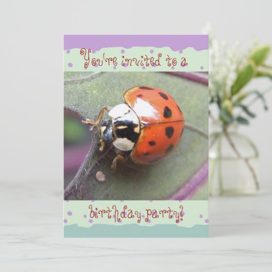 Ladybug Birthday Invitation Kaart (Staand voorkant)