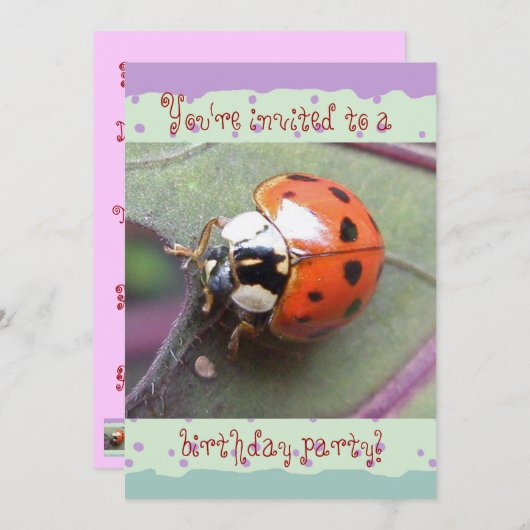 Ladybug Birthday Invitation Kaart (Voorkant / Achterkant)