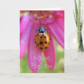 Ladybug Birthday-kaart Kaart (Voorkant)