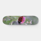 Ladybug board persoonlijk skateboard (Horizontaal)