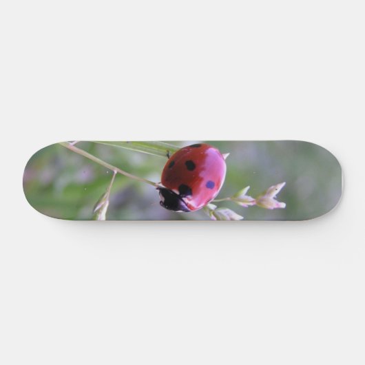 Ladybug board persoonlijk skateboard (Horizontaal)
