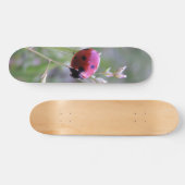 Ladybug board persoonlijk skateboard (Horizontaal)
