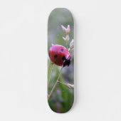 Ladybug board persoonlijk skateboard (Voorkant)