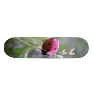 Ladybug board persoonlijk skateboard