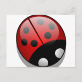 Ladybug Briefkaart (Voorkant)