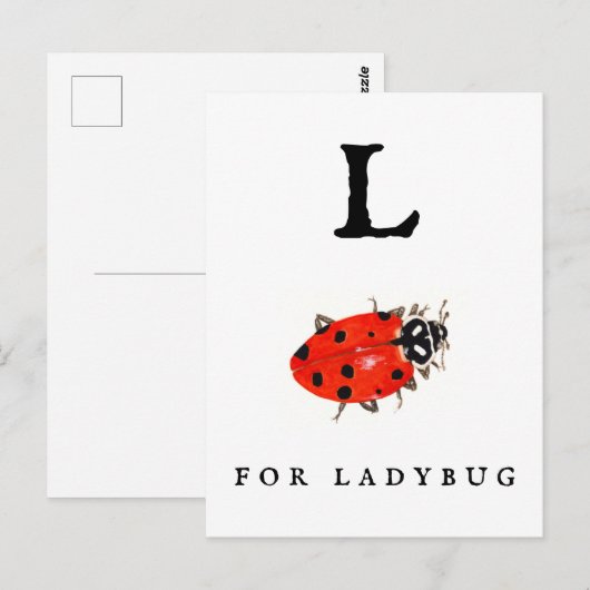 Ladybug Briefkaart (Voorkant / Achterkant)