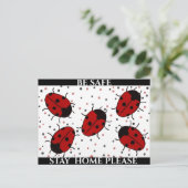 LADYBUG BRIEFKAART (Staand voorkant)