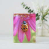 Ladybug-Briefkaart Briefkaart (Staand voorkant)