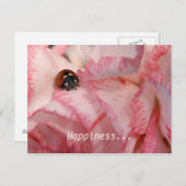 Ladybug-Briefkaart Briefkaart (Voorkant / Achterkant)