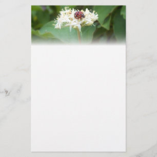 LadyBug Briefpapier