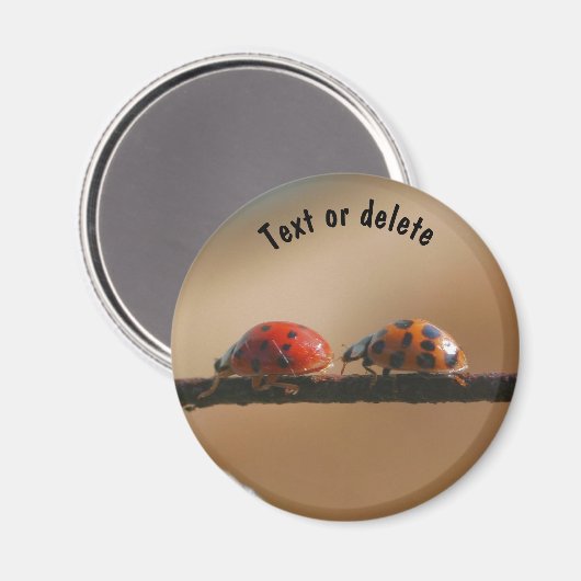 Ladybug Buddies Nature Personalized Magneet (Voorkant / Achterkant)