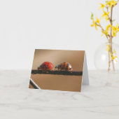 Ladybug Buddies Nature Photography Note Kaart (Gele Bloem)