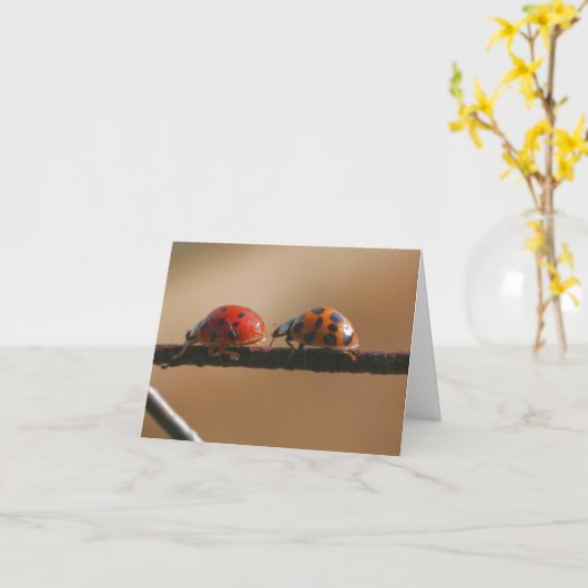 Ladybug Buddies Nature Photography Note Kaart (Gele Bloem)