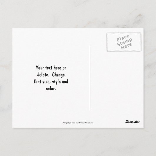 Ladybug Buddies Natuur Fotografie Briefkaart (Achterkant)