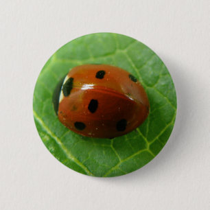 Ladybug-Button Ronde Button 5,7 Cm