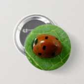 Ladybug-Button Ronde Button 5,7 Cm (Voorkant /achterkant)