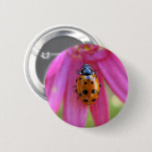 Ladybug-Button Ronde Button 5,7 Cm (Voorkant /achterkant)