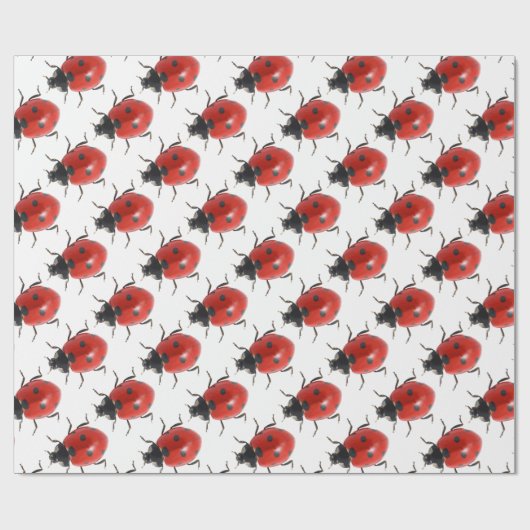Ladybug Cadeaupapier (Vlak)