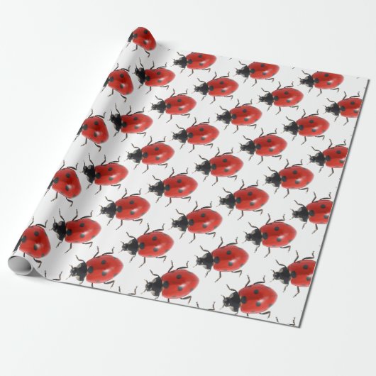 Ladybug Cadeaupapier (Uitgerold)