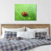 Ladybug Canvas afdrukken (Insitu (Slaapkamer))