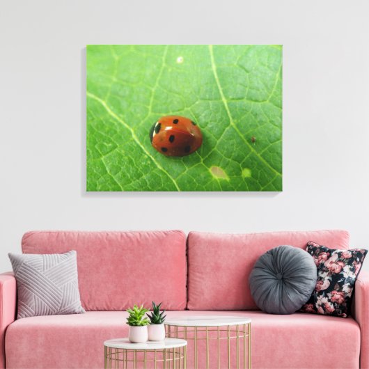 Ladybug Canvas afdrukken (Insitu (Woonkamer))