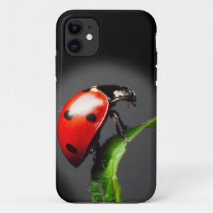 Ladybug iPhone 11 Hoesje