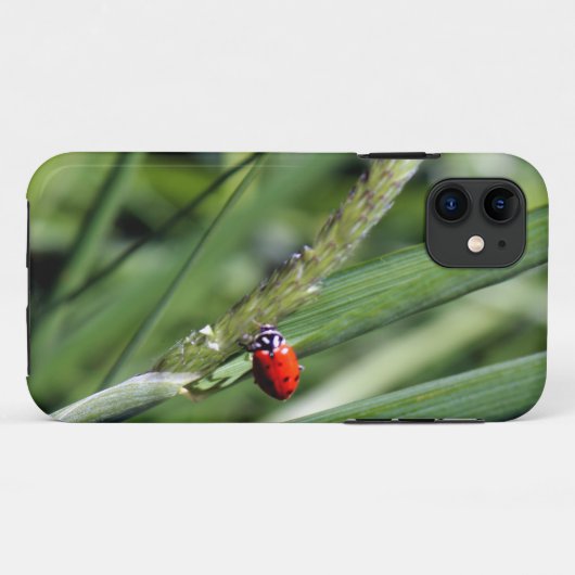 Ladybug (Coccinellidae) Case-Mate iPhone Case (Achterkant (horizontaal))