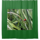 Ladybug (Coccinellidae) Douchegordijn (Voorkant)