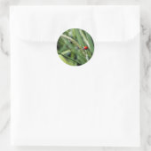 Ladybug (Coccinellidae) Ronde Sticker (Tas)