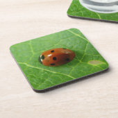 Ladybug Cork Onderzetter (Linkerzijde)