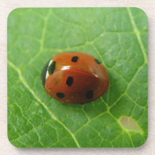 Ladybug Cork Onderzetter