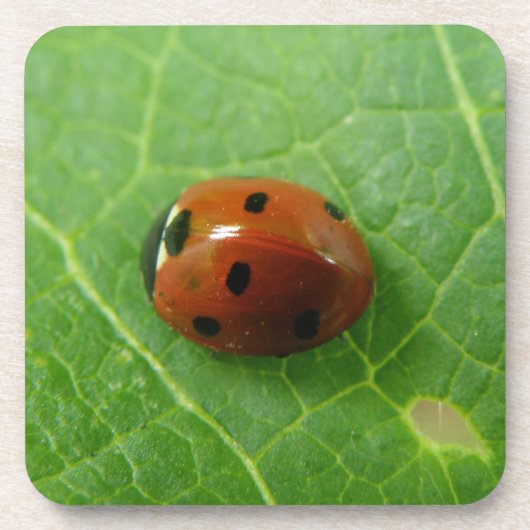 Ladybug Cork Onderzetter (Voorkant)