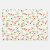 Ladybug daisies inpakpapier vel (Voorkant 2)