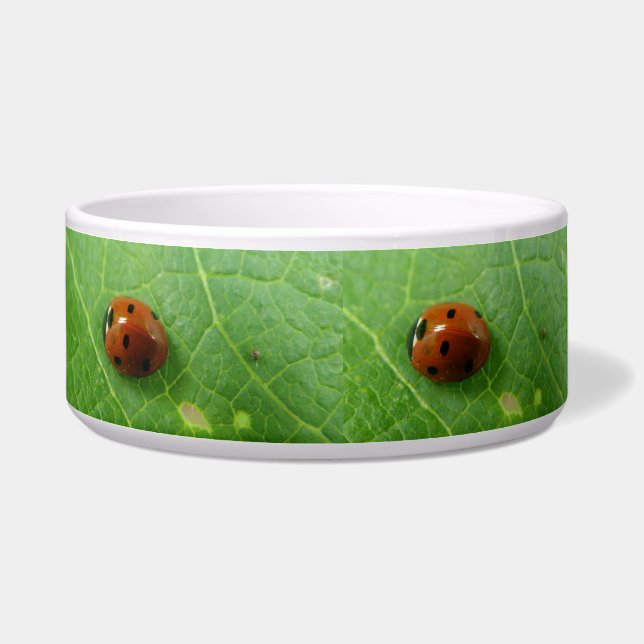 Ladybug Dog Bowl Voerbakje (Links)