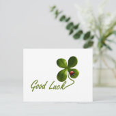 Ladybug dot kever Kantoor Custom Destiny's Briefkaart (Staand voorkant)