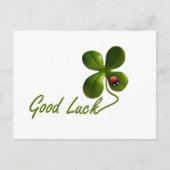 Ladybug dot kever Kantoor Custom Destiny's Briefkaart (Voorkant)