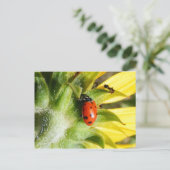 Ladybug en Ant Briefkaart (Staand voorkant)