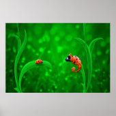 Ladybug en Chameleon Poster (Voorkant)