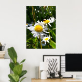 Ladybug en Daisies Poster (Thuiskantoor)