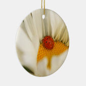 Ladybug en Daisy Ornament (Rechts)