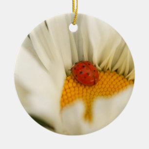 Ladybug en Daisy Ornament
