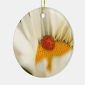 Ladybug en Daisy Ornament (Links)