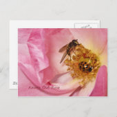 Ladybug en Vlieg op een Roos van de Knock uit Briefkaart (Voorkant / Achterkant)